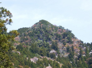 すずひろクリニック　院長の紹介