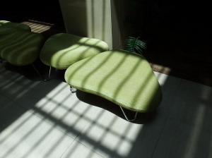 気管支喘息の説明と治療　すずひろクリニック