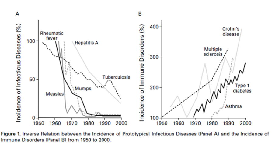 Bach (フランス Inserm)の図　すずひろクリニック