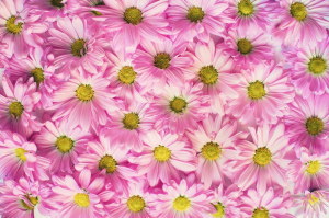 乳幼児期に抗生物質を使用　アレルギー　すずひろクリニック