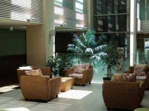 慢性湿疹・手湿疹の説明と治療　すずひろクリニック