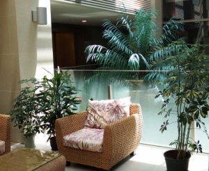 いぼ　水いぼ　皮脂欠乏症の治療　すずひろクリニック