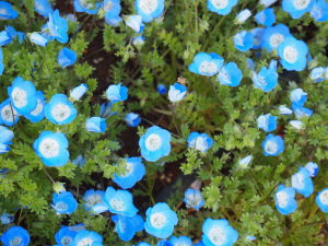 すずひろクリニック 禁煙外来