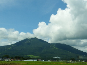 細胞性免疫　活性化　すずひろクリニック