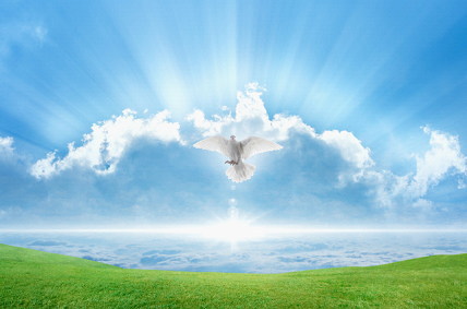 体質改善の機序　すずひろクリニック