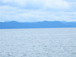 慢性腎臓病（ＣＫＤ）