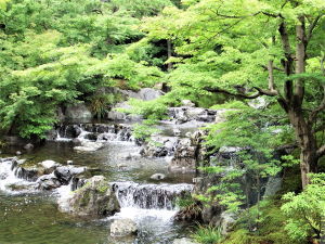 高血圧　すずひろクリニック