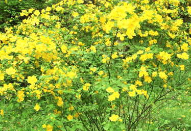 高血圧　生活習慣の改善