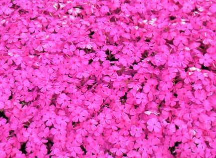 すり傷　切り傷