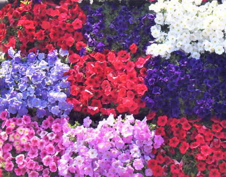 傷の処置（包帯交換）のポイント：湿潤療法