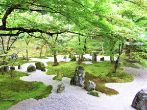 脂質異常症とは