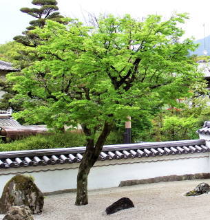 冠動脈疾患予防からみたＬＤＬコレステロール管理目標設定のためのフローチャート