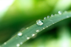 保険診療の原則　すずひろクリニック