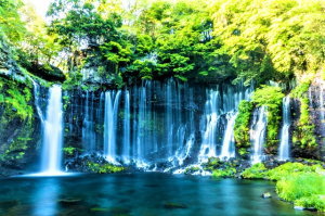 口腔と皮膚疾患・内科疾患　すずひろクリニック