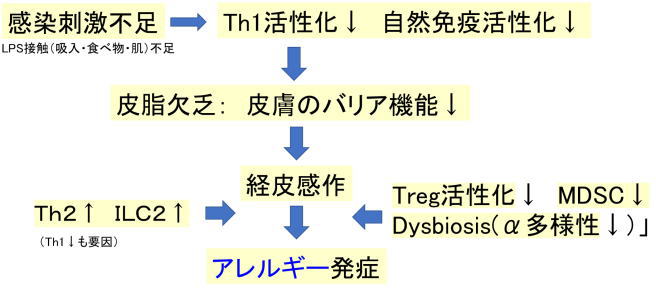 アレルギー発症のメカニズム