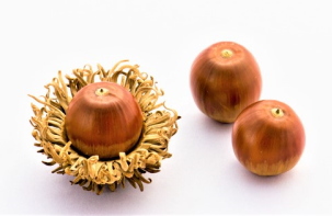 糖尿病　合併症