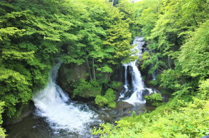 アレルギー性鼻炎