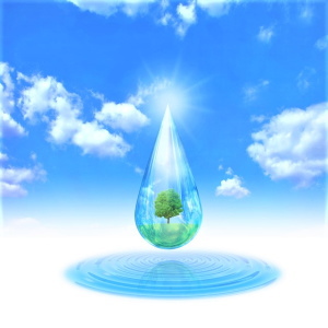 アレルギー性鼻炎　