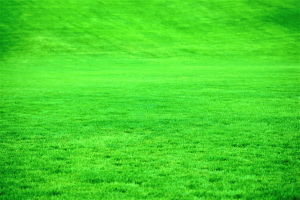 デュタステリド