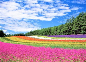 各種膠原病・血管炎・リウマチ性疾患・その他の自己免疫疾患