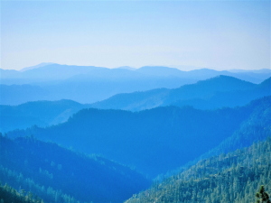 講演の記録　すずひろクリニック