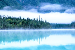 すずひろクリニック　メディア