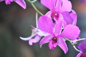 診察受付時間　すずひろクリニック