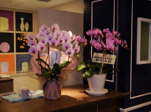 すずひろクリニック　マハロ